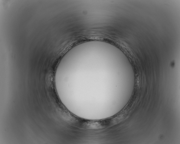 X0000090930322200707301120