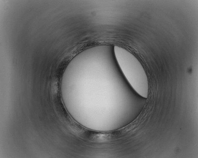 X0000090930323200707301120