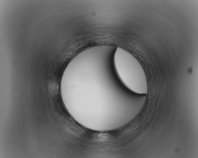 X0000090930324200707301120