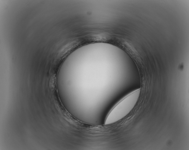 X0000090930325200707301120