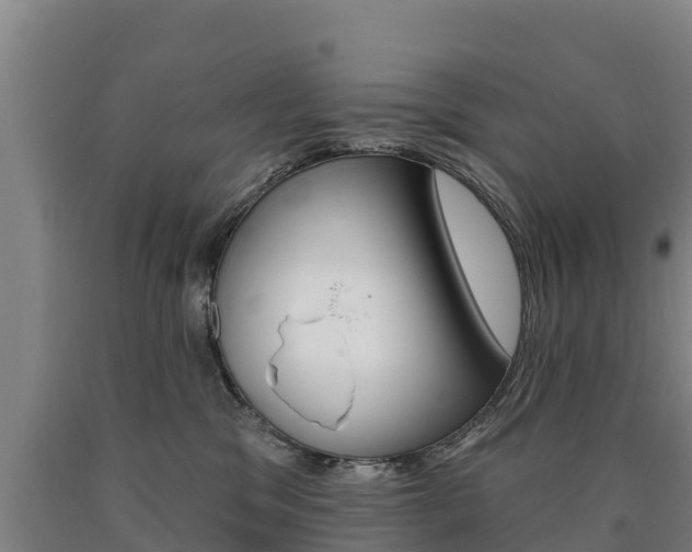X0000090930329200707301120