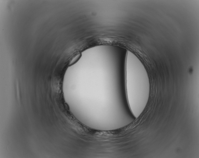 X0000090930331200707301120