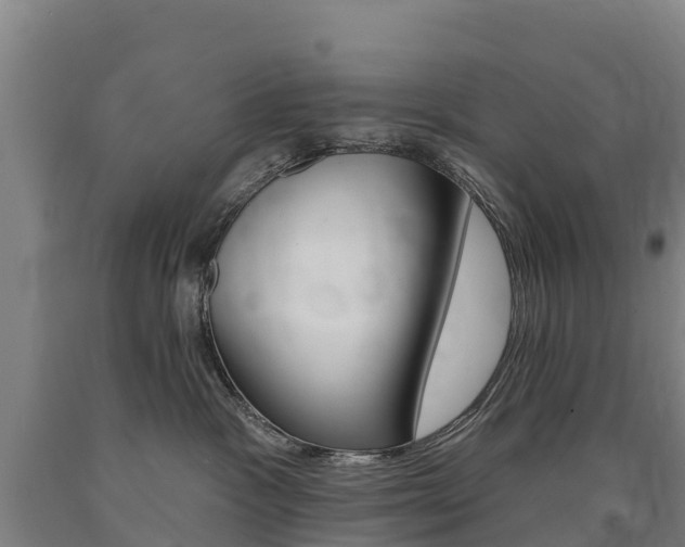 X0000090930333200707301120