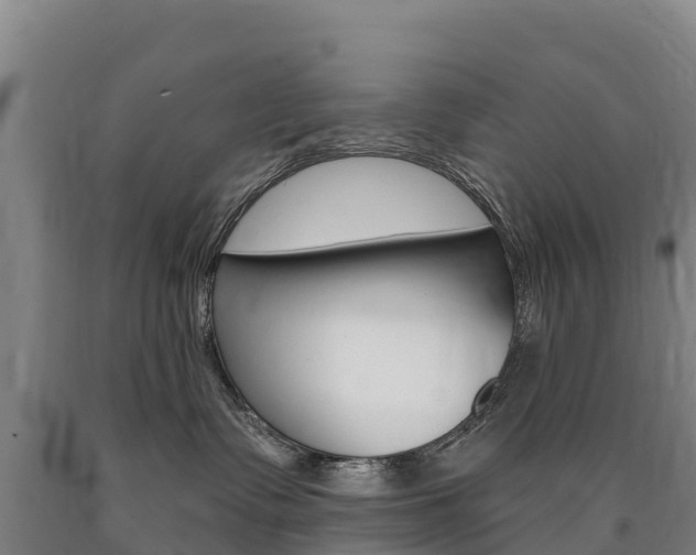 X0000090930335200707301120