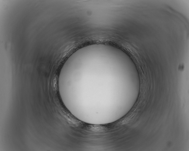 X0000090930336200707301120