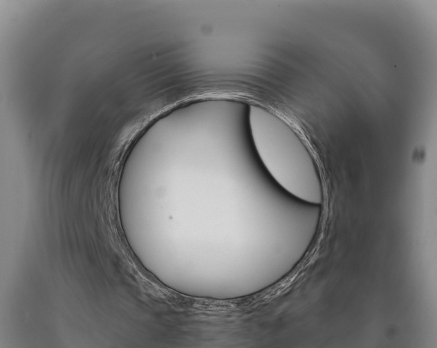 X0000090930337200707301119
