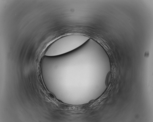X0000090930338200707301119