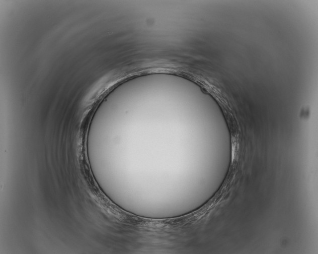 X0000090930339200707301119