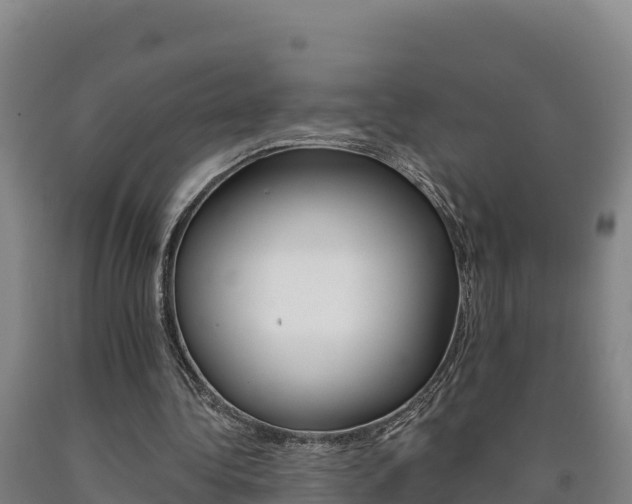 X0000090930340200707301119