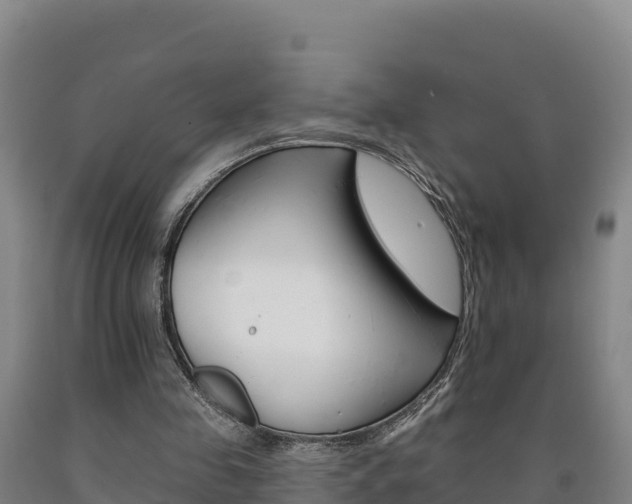 X0000090930341200707301119