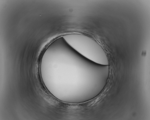 X0000090930342200707301119