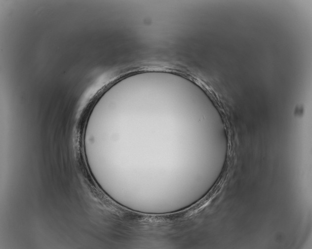 X0000090930343200707301119