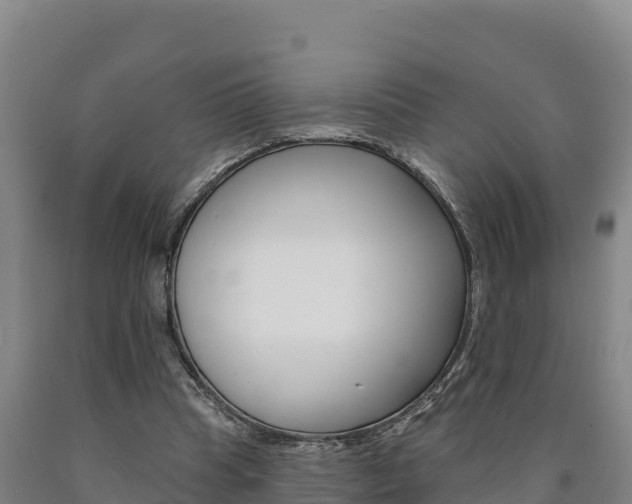 X0000090930345200707301119