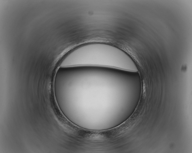 X0000090930348200707301119