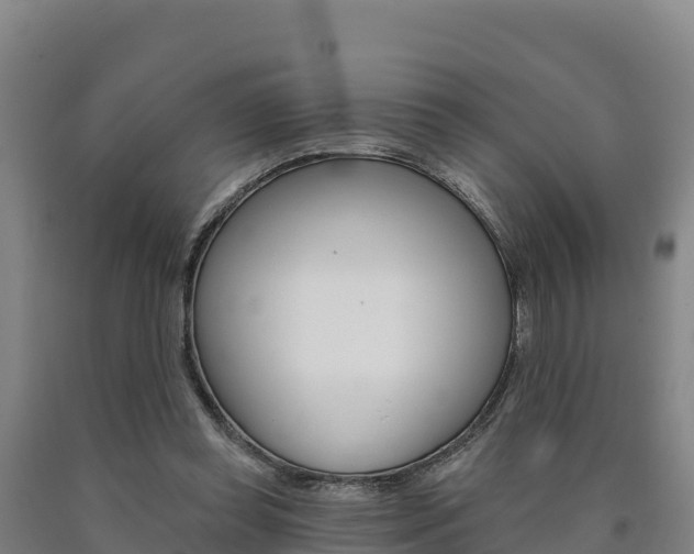 X0000090930349200707301119