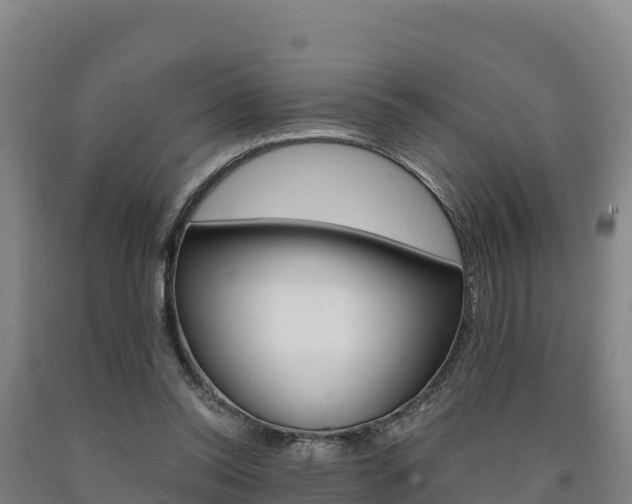 X0000090930350200707301119