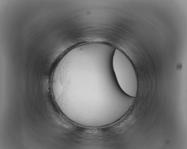 X0000090930351200707301119