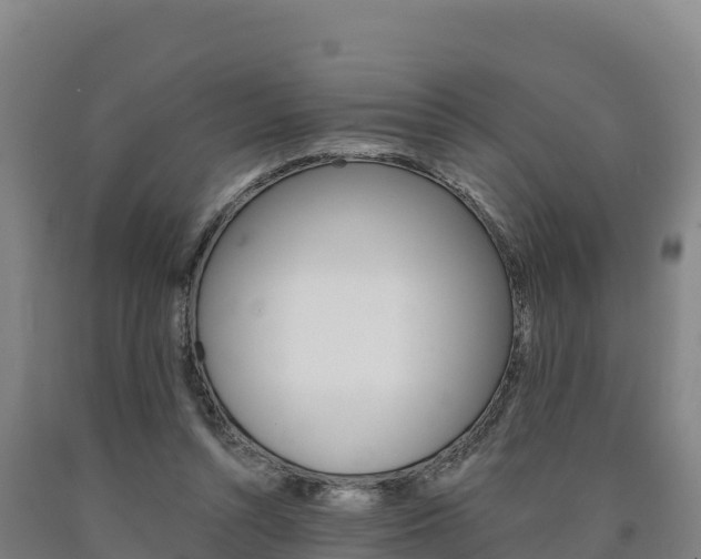 X0000090930352200707301119