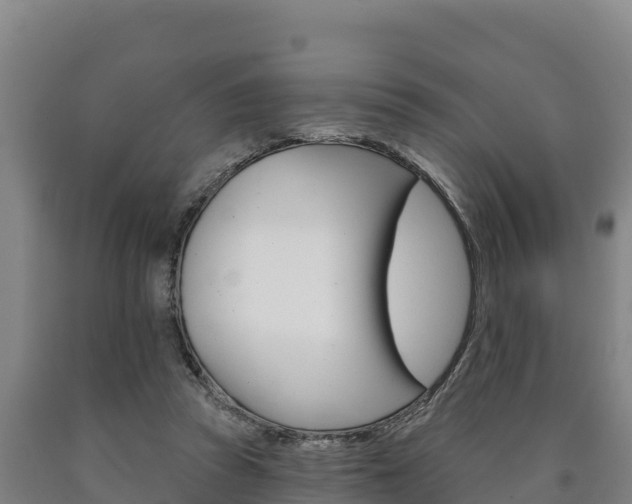 X0000090930353200707301119