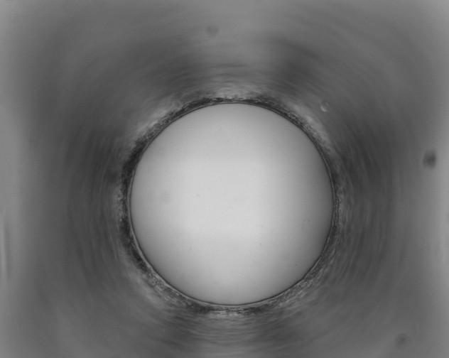 X0000090930354200707301119