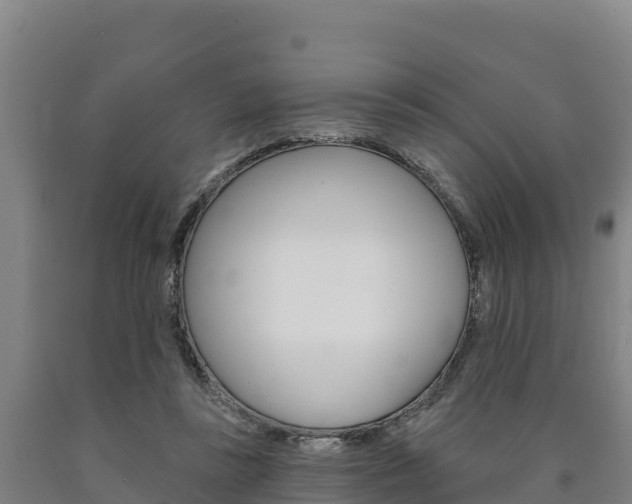 X0000090930355200707301120