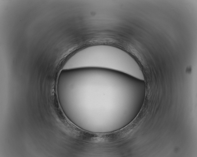 X0000090930356200707301120