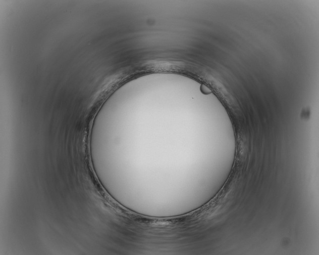 X0000090930357200707301120