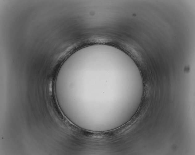 X0000090930358200707301120