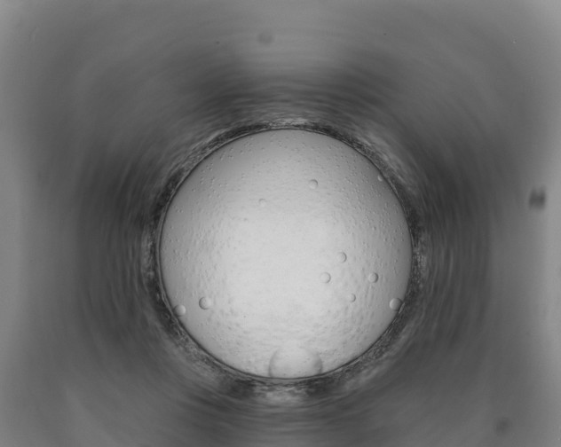 X0000090930359200707301120