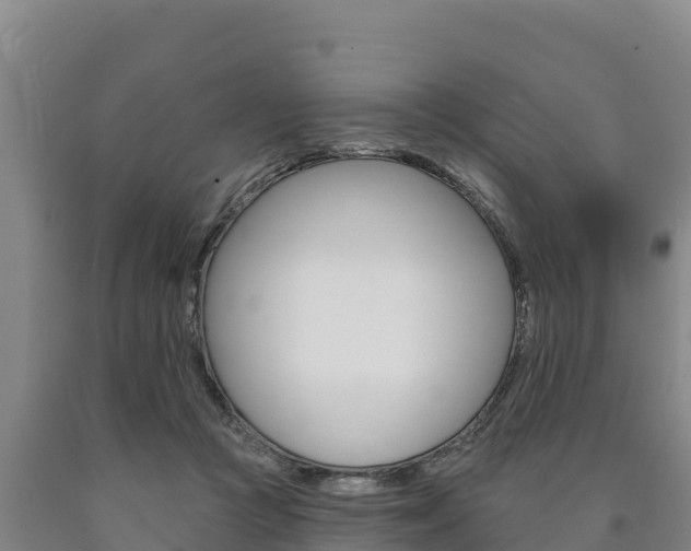 X0000090930361200707301120