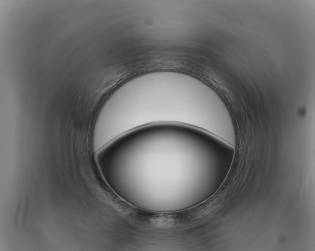 X0000090930362200707301120