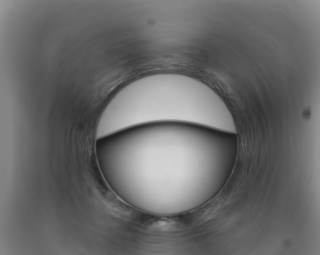 X0000090930364200707301120