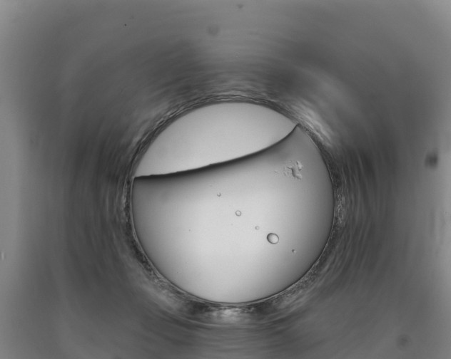 X0000090930365200707301120