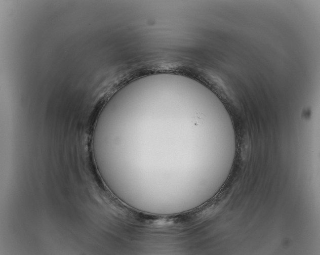 X0000090930366200707301120
