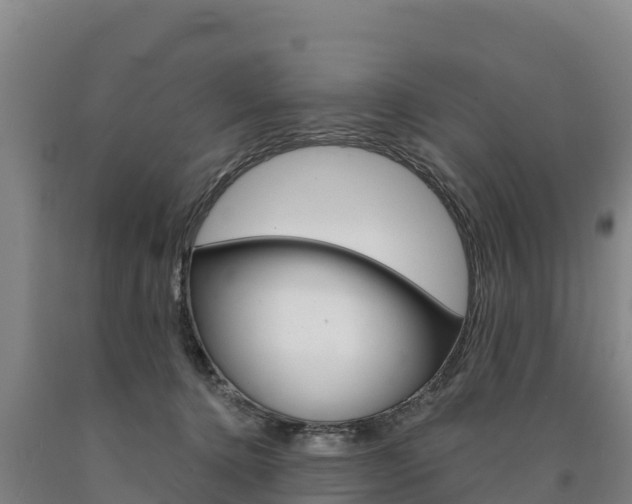 X0000090930368200707301120