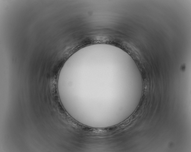 X0000090930369200707301120