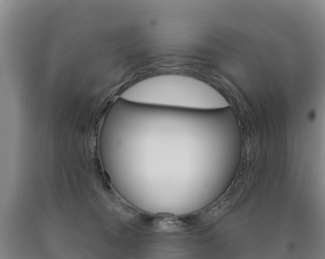 X0000090930372200707301120