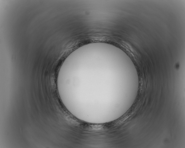 X0000090930377200707301120