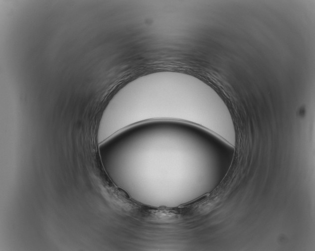 X0000090930380200707301120