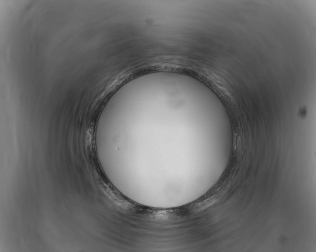 X0000090930382200707301120