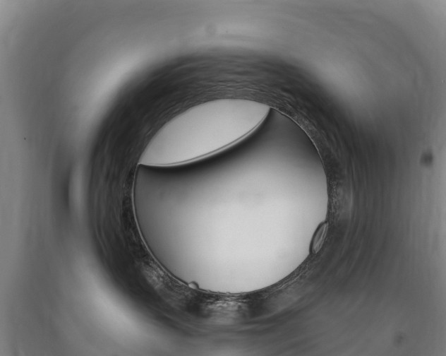X0000090930383200707301120