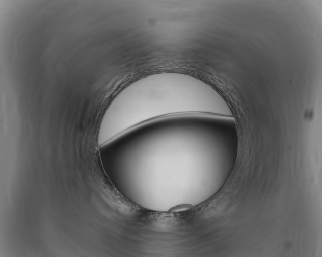 X0000090930384200707301120