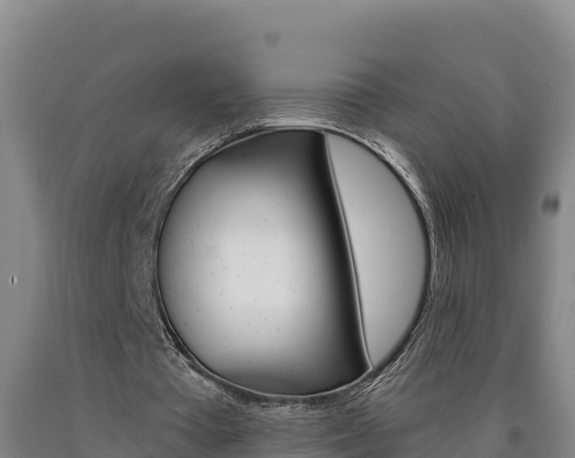 X0000090930385200707301119