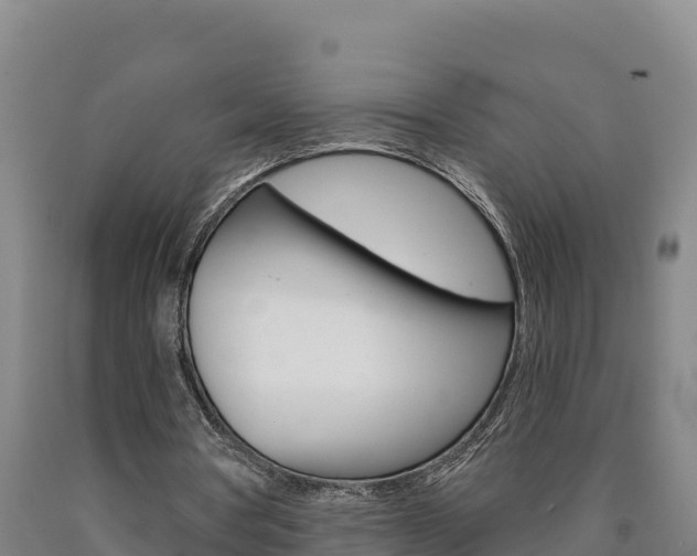 X0000090930386200707301119