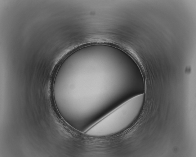 X0000090930387200707301119