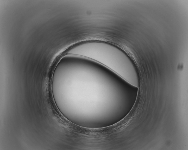 X0000090930388200707301119
