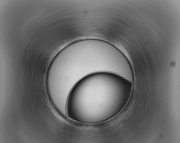 X0000090930389200707301119