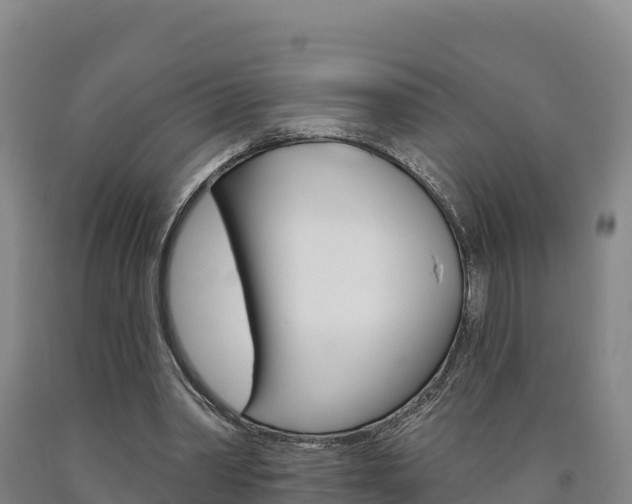X0000090930390200707301119