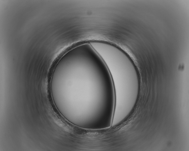 X0000090930391200707301119