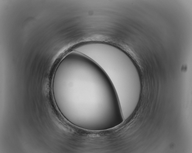 X0000090930392200707301119